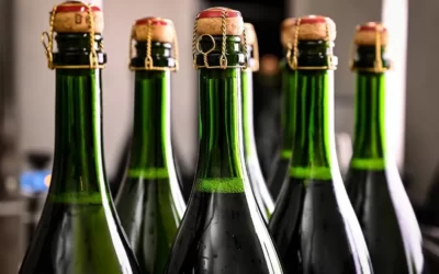 Productores de vino buscan su propia Norma Oficial Mexicana