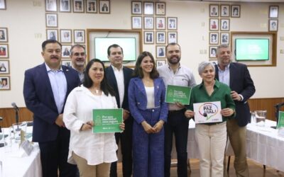 Piden Norma para exigir asiento de niños en autos