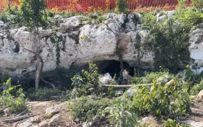 Cenote Dama Blanca: Especialistas y activistas insisten en que sí hay afectaciones por el Tren Maya, aunque lo niegue el gobierno