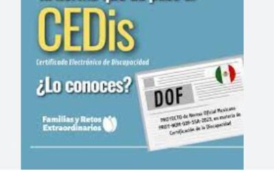 Habrá certificado electrónico de discapacidad, informó la SSA