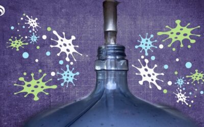 ¿Rellenas tu garrafones? Así puedes cuidar que tu agua no esté contaminada