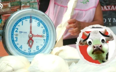 11 marcas de queso Oaxaca menos saludables y que pueden enfermarte, según Profeco