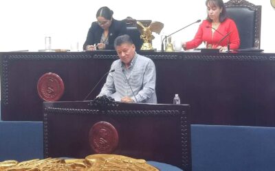 Reconocer la pirotecnia como una actividad cultural tangible, con características individuales irrepetibles, propone diputado