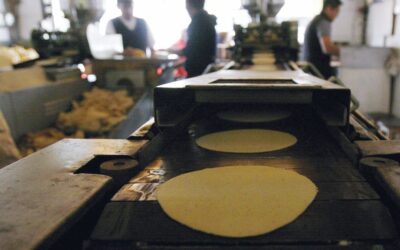 NOM 206-SCFI/SSA2 de 2018