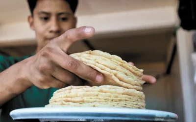 La NOM-187 prohibirá el uso de maíz transgénico en masa y tortilla