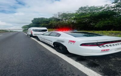 En Veracruz, Guardia Nacional rescata a loros cabeza amarilla y cariamarillo transportados de manera ilegal